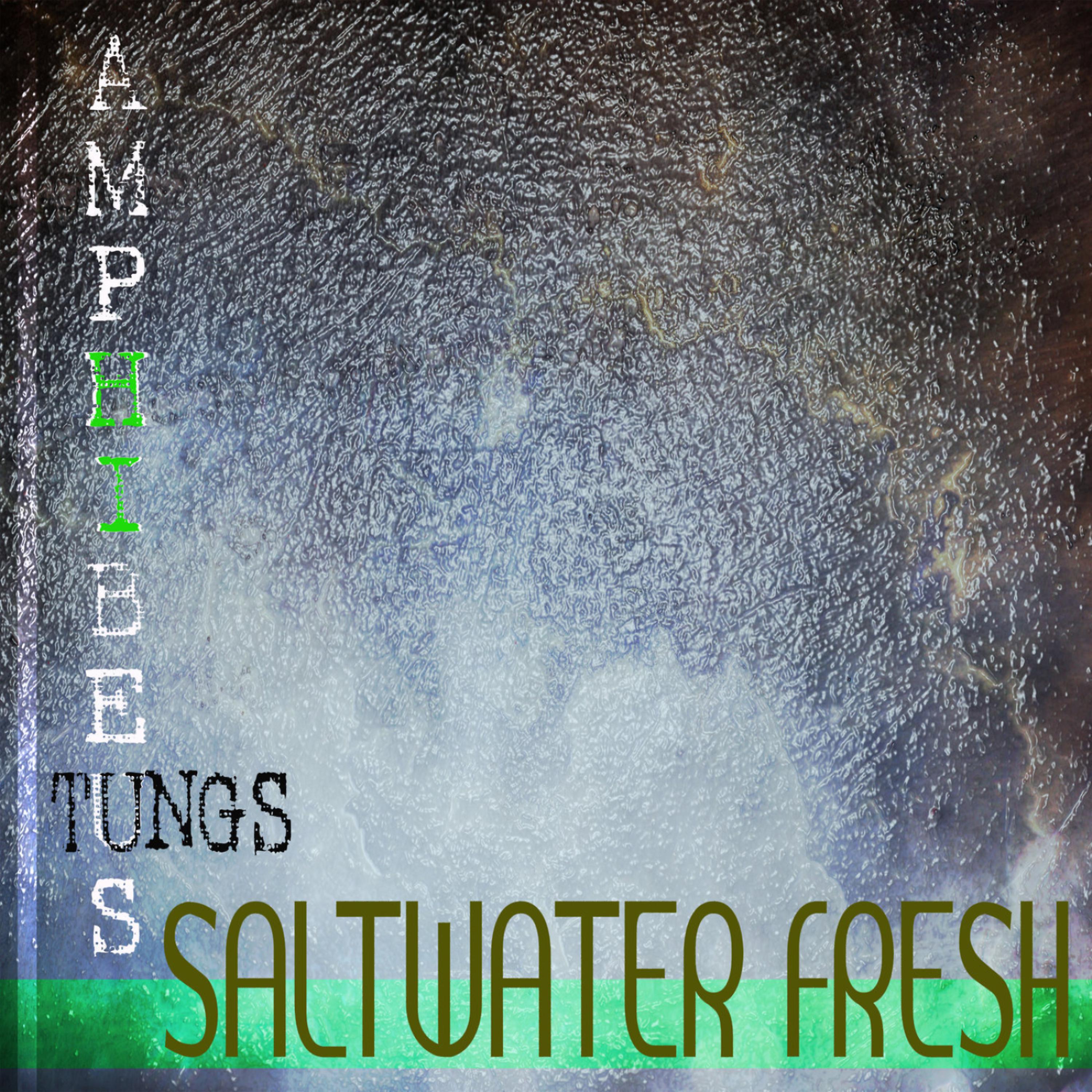 Постер альбома Salt Water Fresh