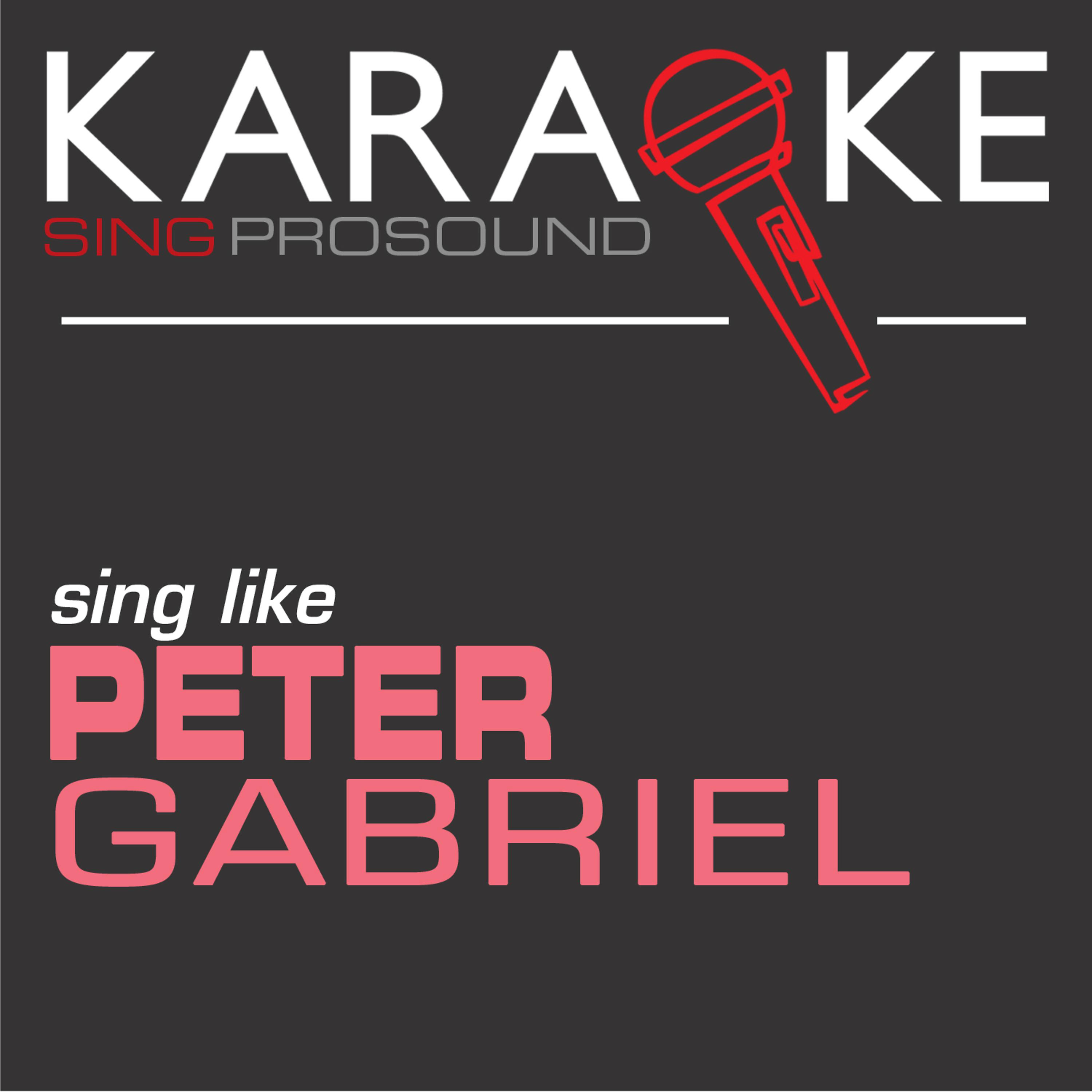 Постер альбома Karaoke in the Style of Peter Gabriel