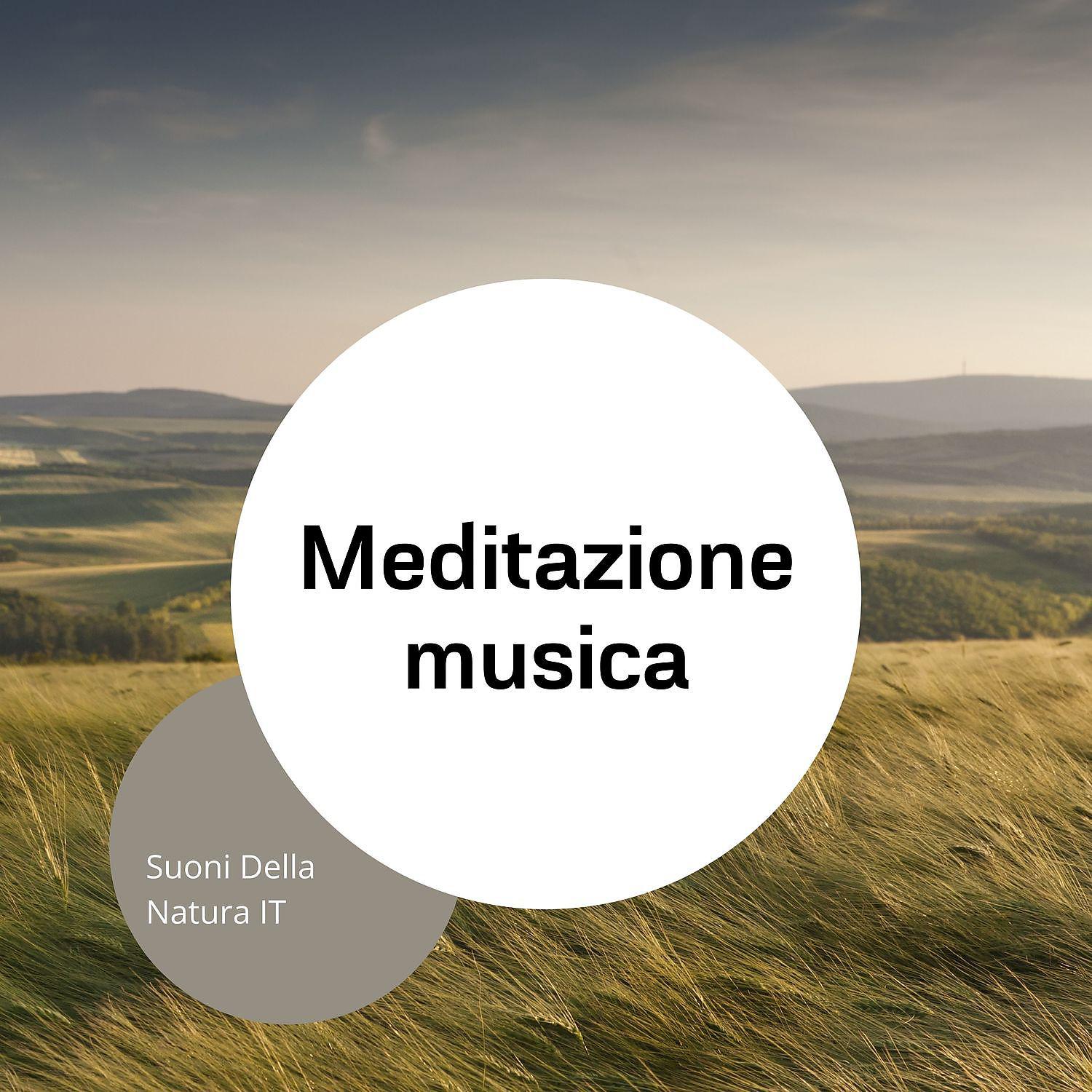 Постер альбома Meditazione musica