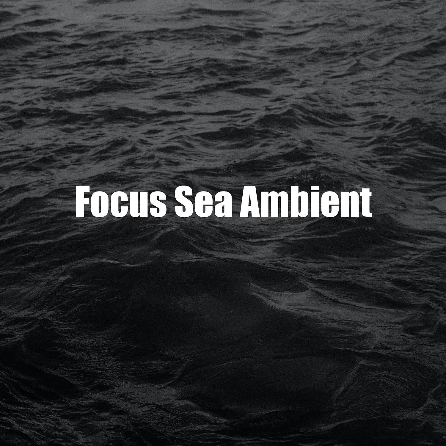 Постер альбома Focus Sea Ambient