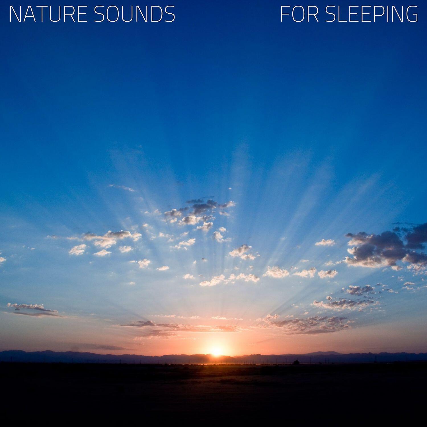 Spring Aroma - Relaxation in the Cave (with Forest Sound)