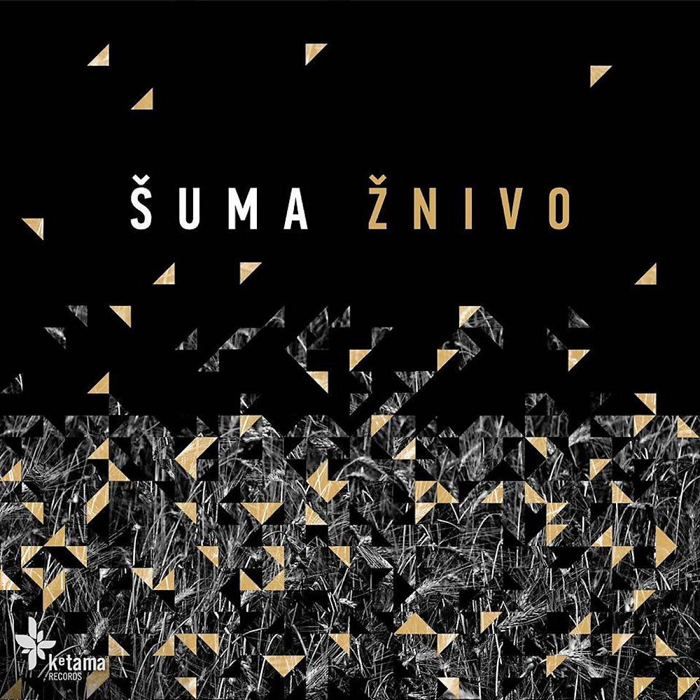 Постер альбома Zhnivo