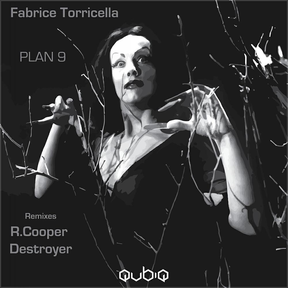 Fabrice Torricella - Plan 9 (R. Cooper Plan B Rethink)