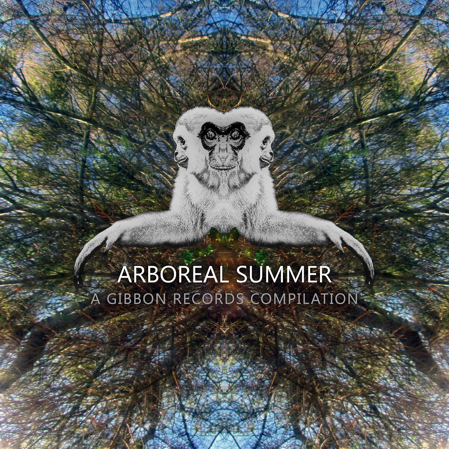 Постер альбома Arboreal Summer