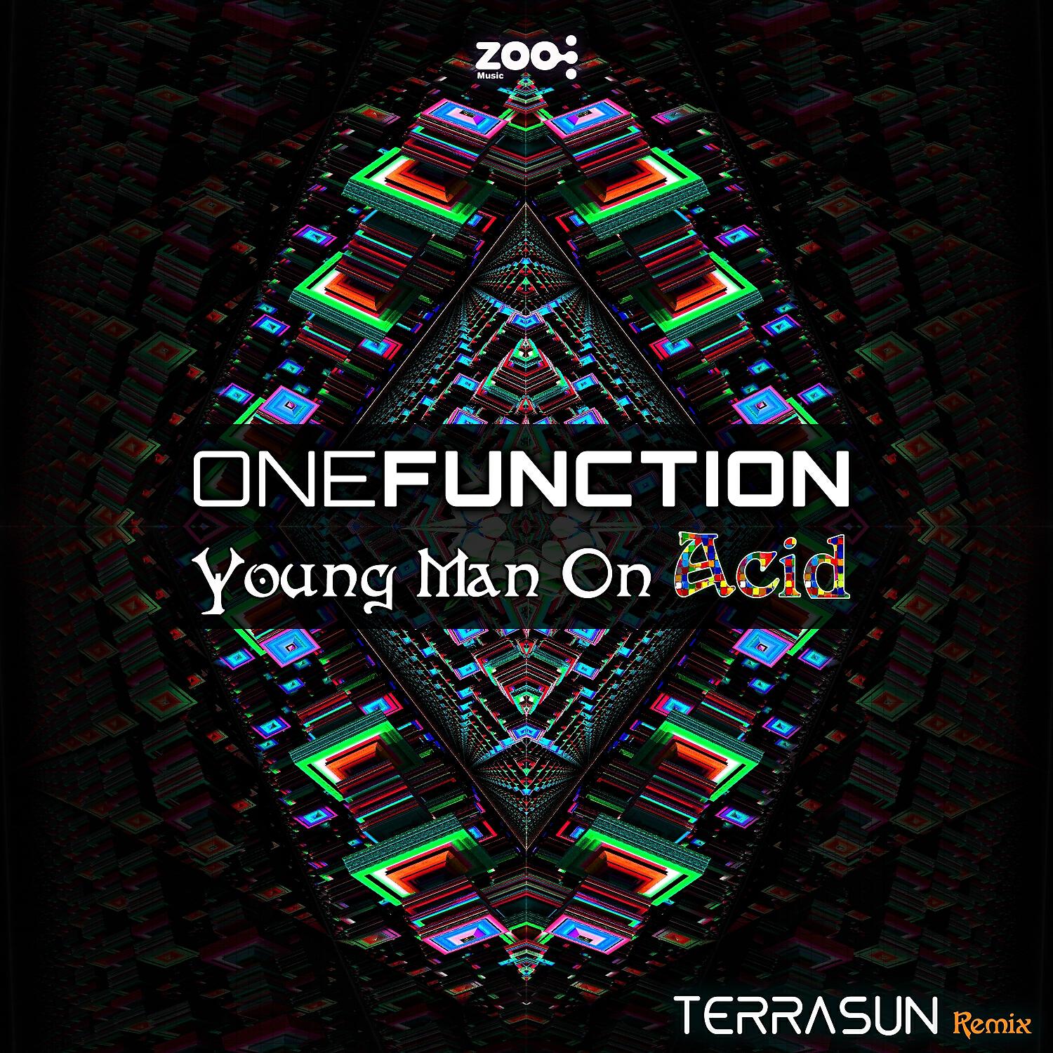One Function - Young Man on Acid (Terrasun Remix)
