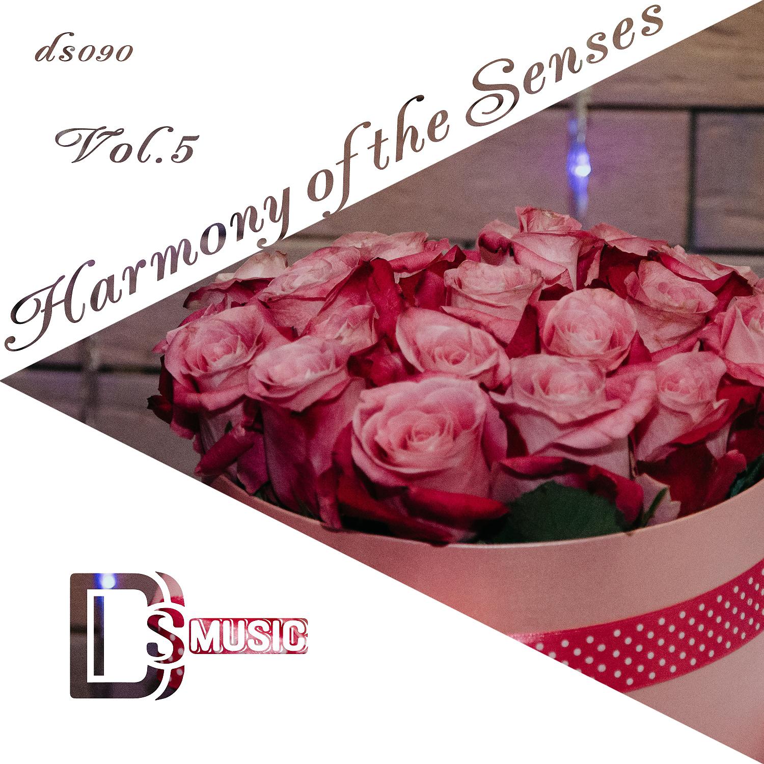 Постер альбома Harmony of the Senses, Vol.5