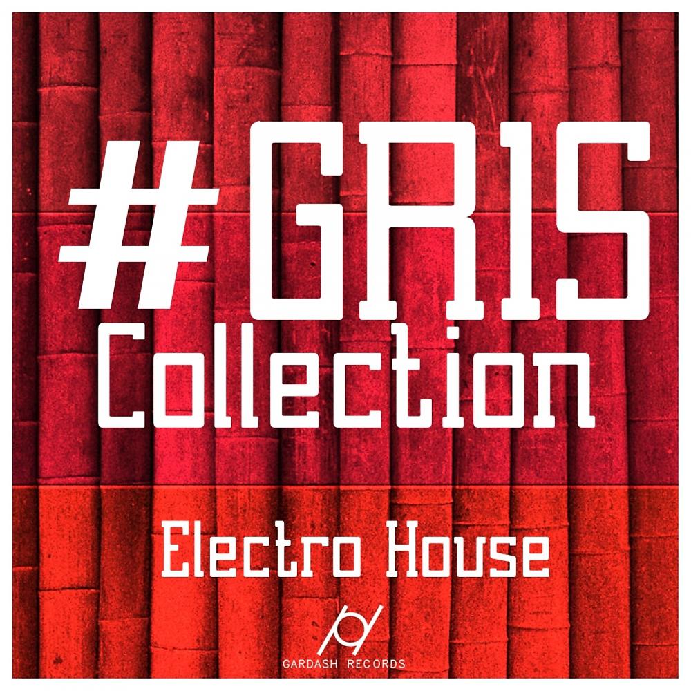 Постер альбома GR 15 Collection Electro House
