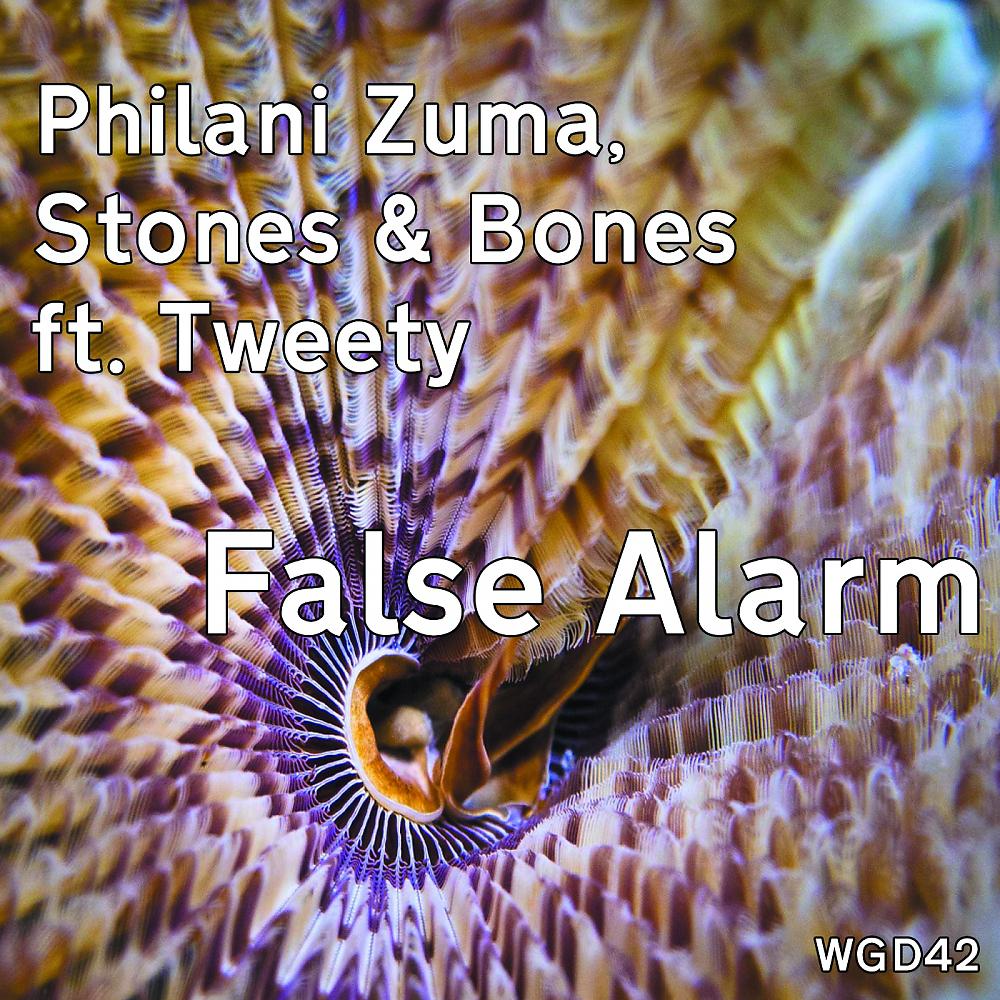 Постер альбома False Alarm