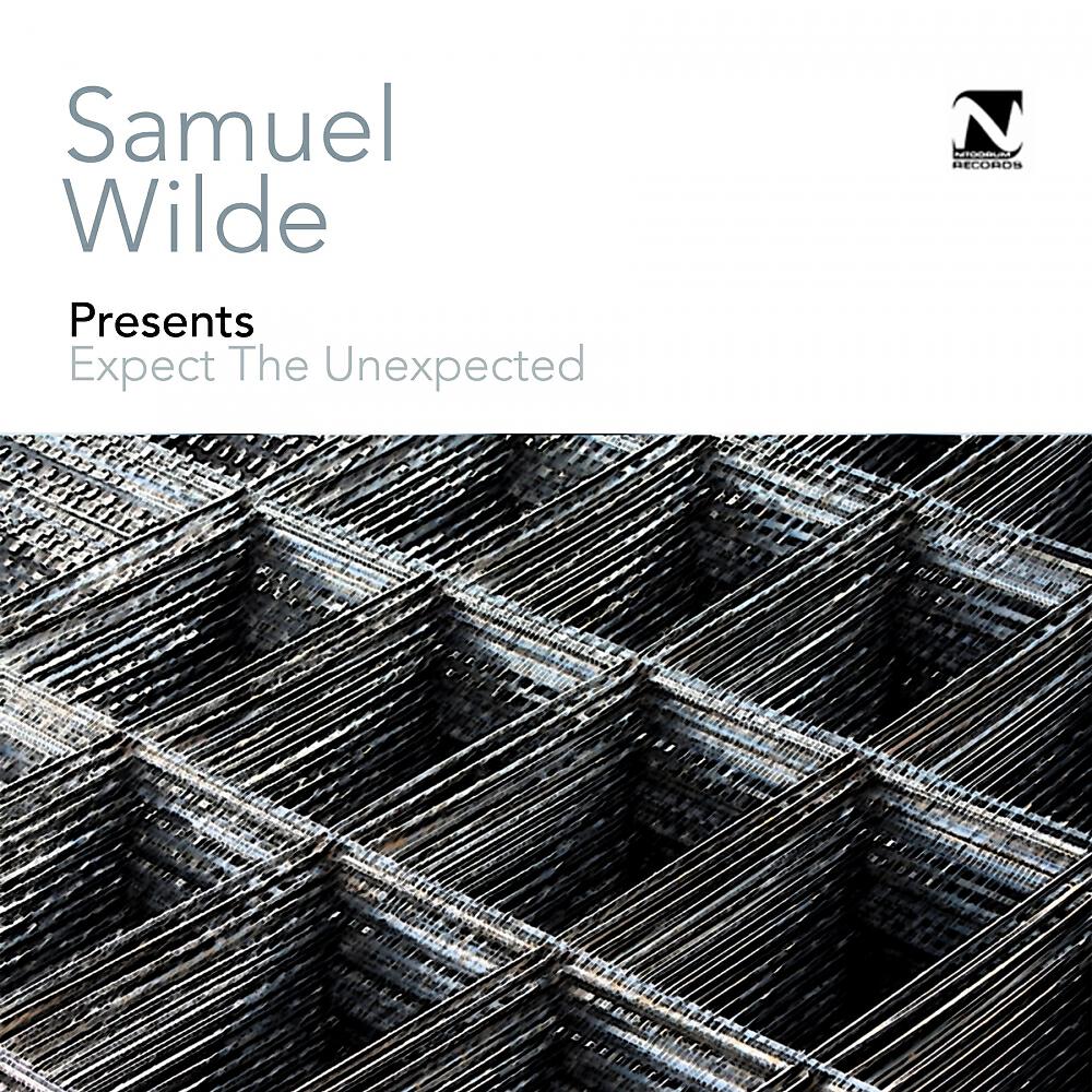 Samuel Wilde - Expect The Unexpected (Wanya Simonee Remix)