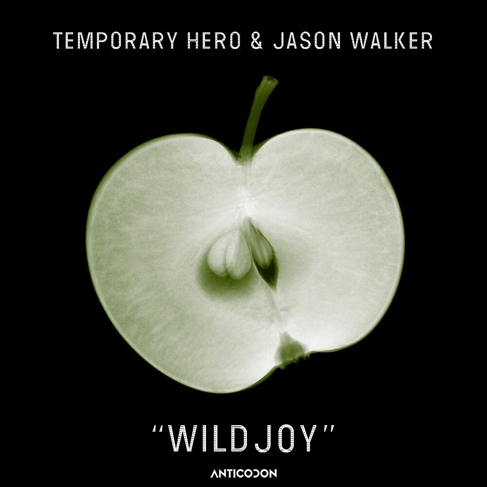 Temporary Hero - WILDJOY (DJ Grind & Toy Armada Remix)