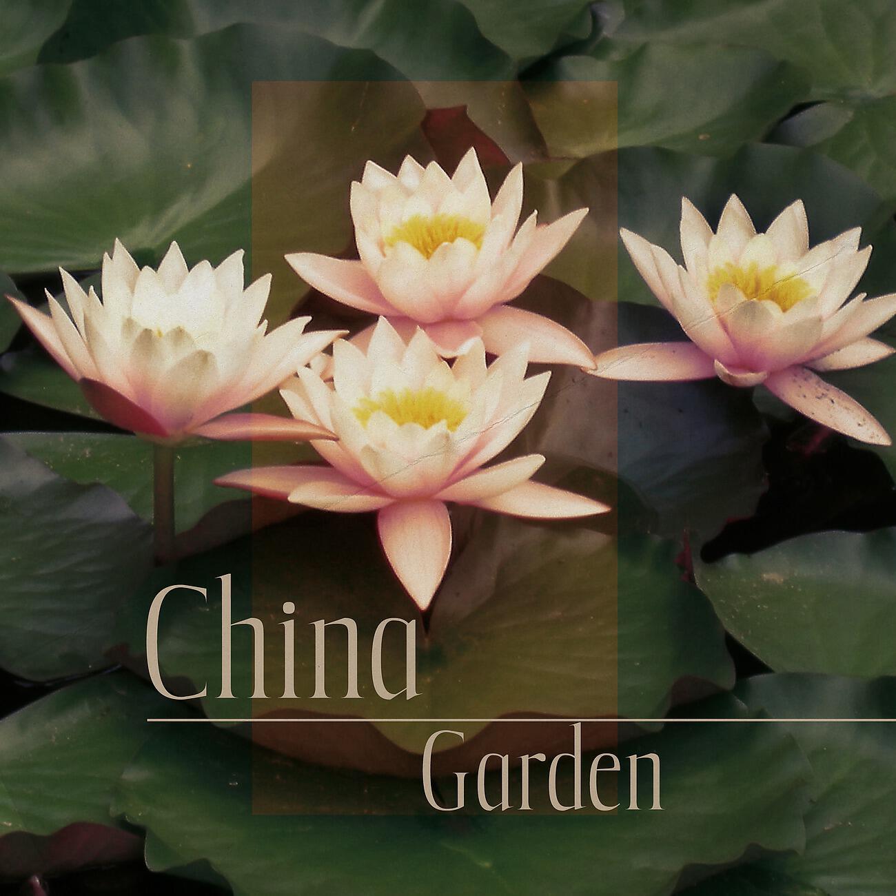 Tao Te Ching Music Zone - Healing Sounds (Guzheng, Gong)