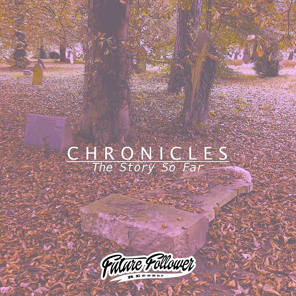 Постер альбома Chronicles - The Story So Far