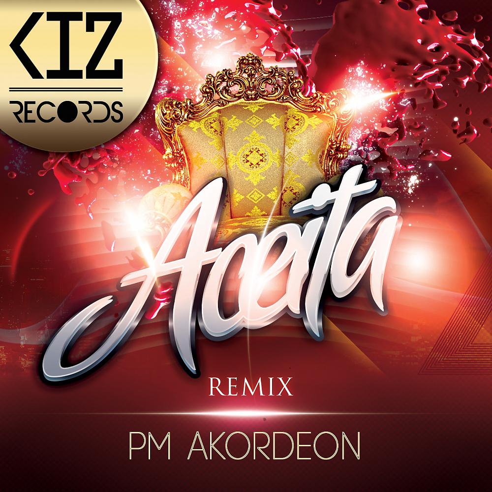 Постер альбома Aceita (Remix)