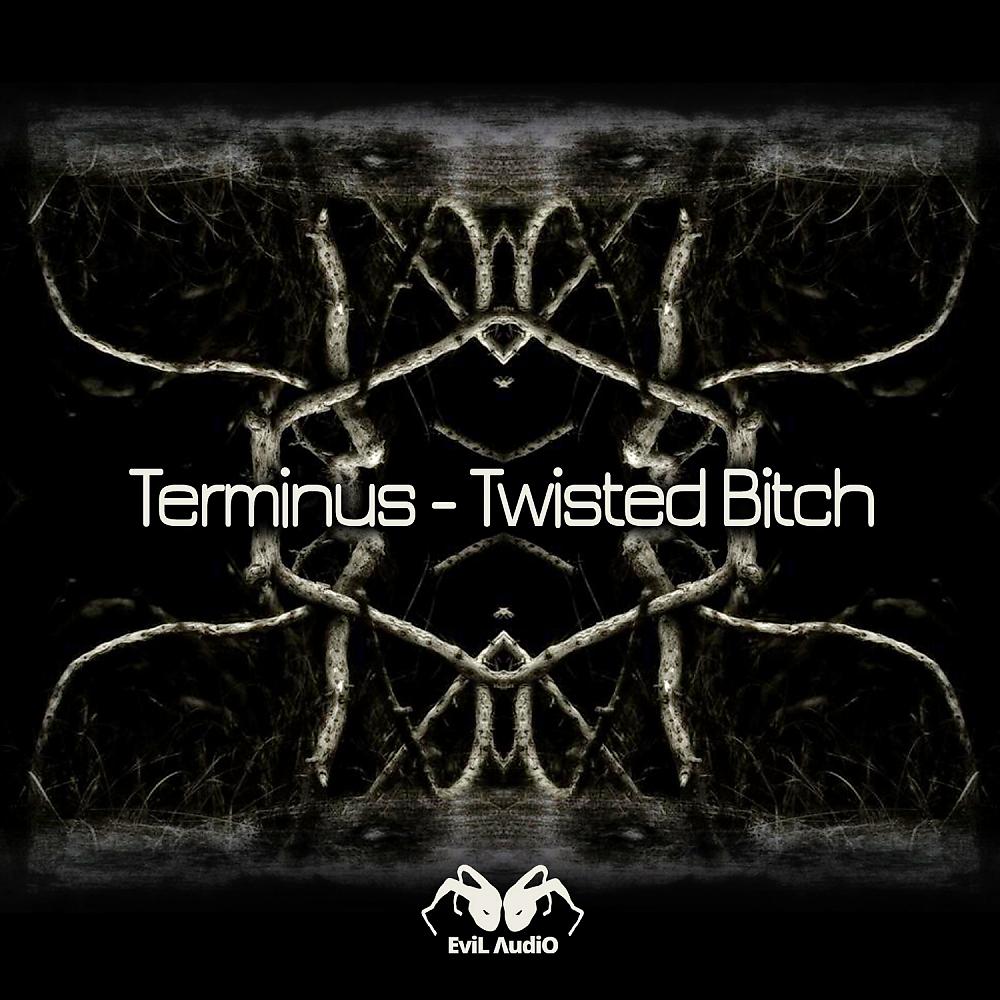Постер альбома Twisted Bitch