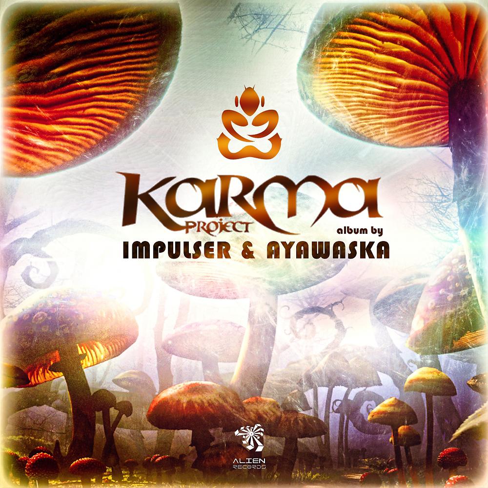Постер альбома Karma Project