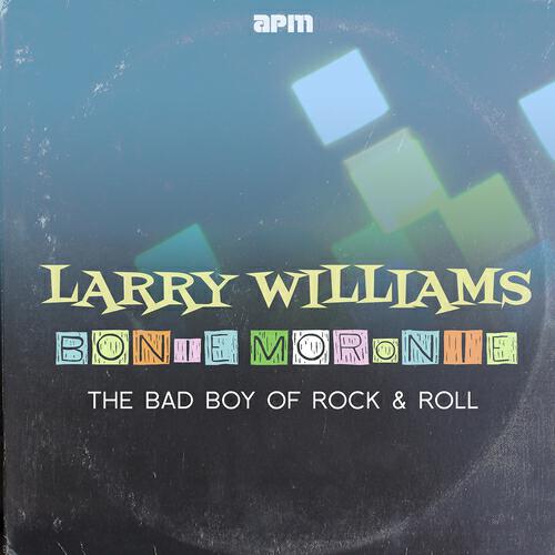 LARRY WILLIAMS - You Bug Me