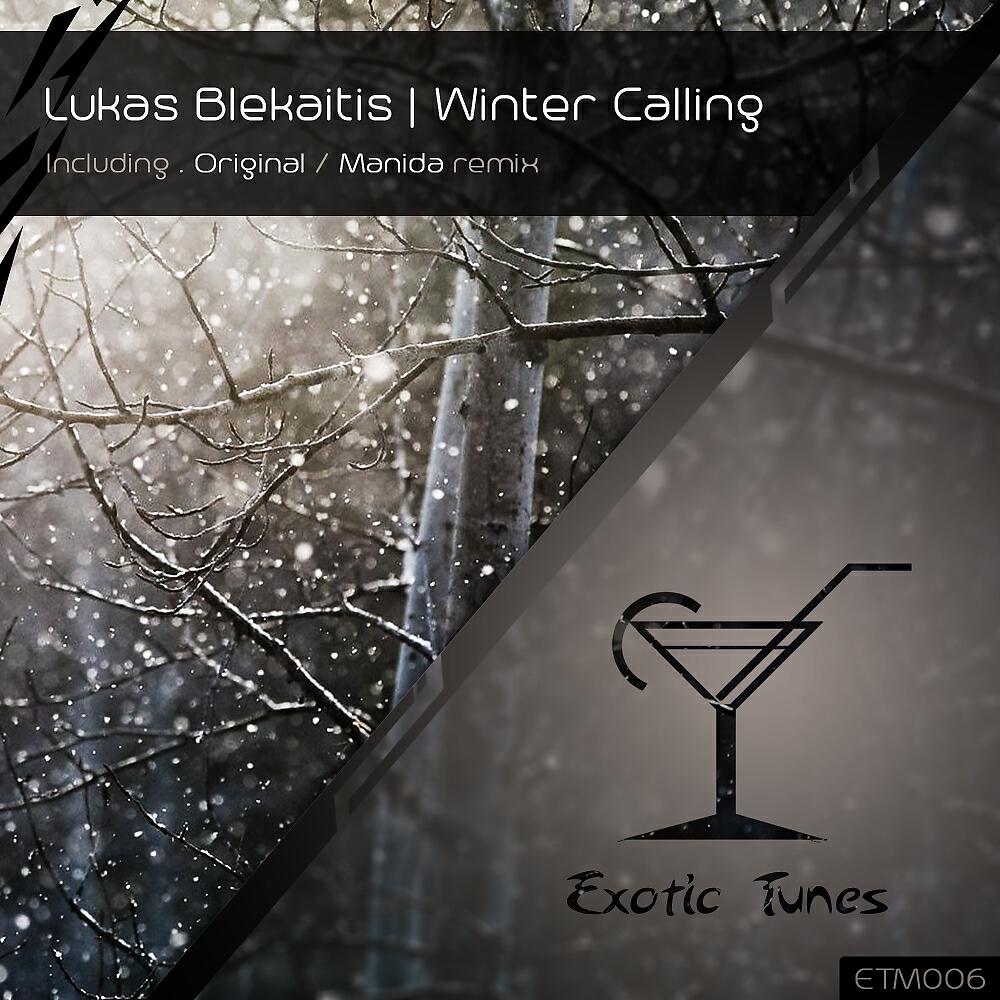 Lukas Blekaitis - Winter Calling (Manida Remix)
