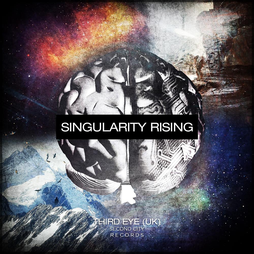 Постер альбома Singularity Rising