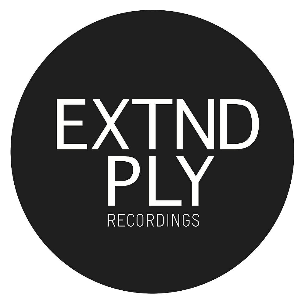 De Sluwe Vos - Believe (Timmy P Remix)