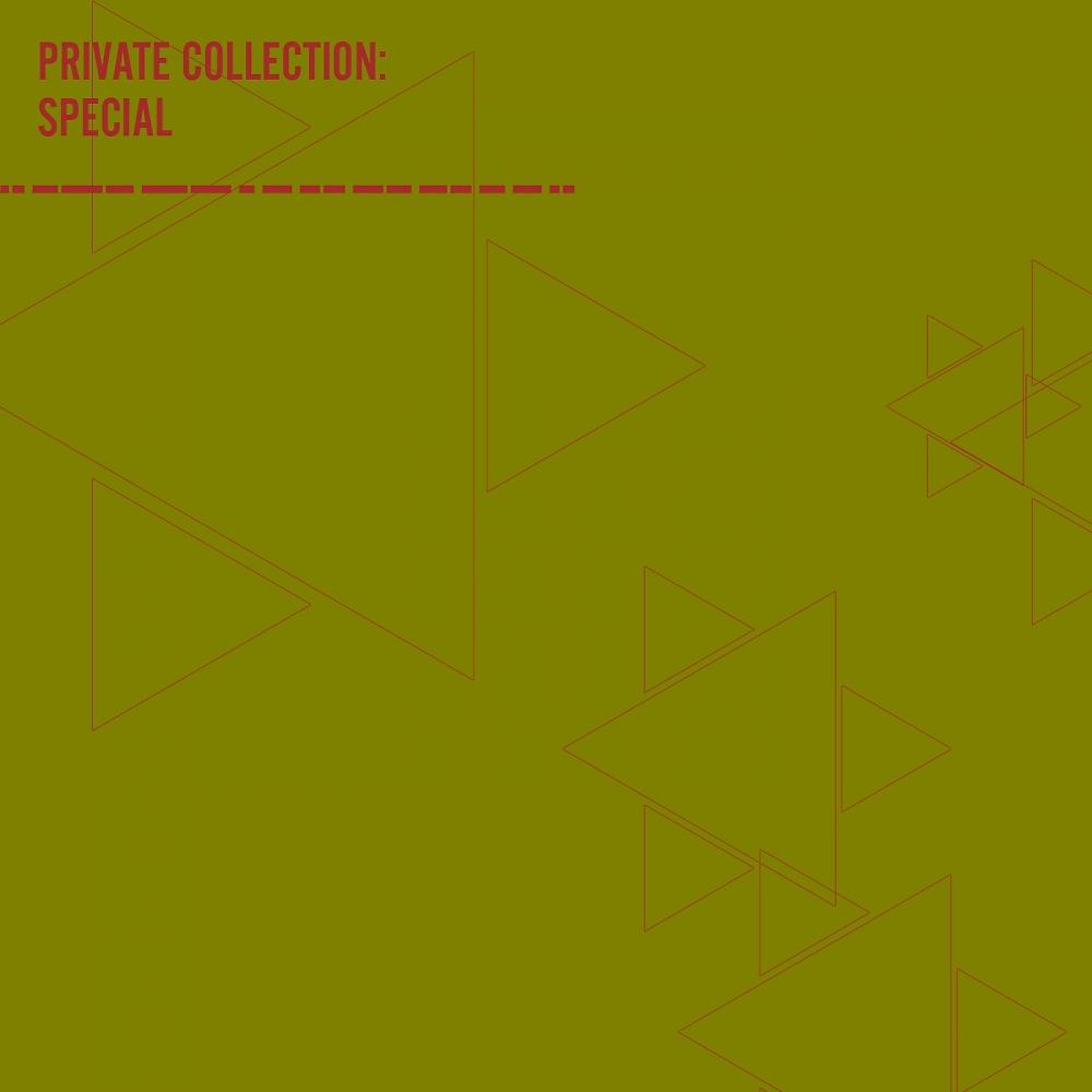 Постер альбома Private Collection: Special