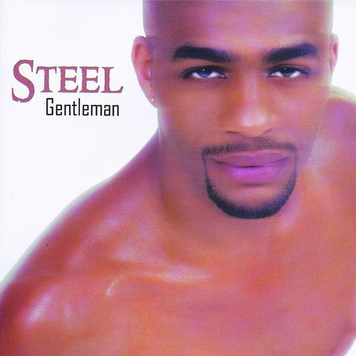 Постер альбома Steel Gentleman