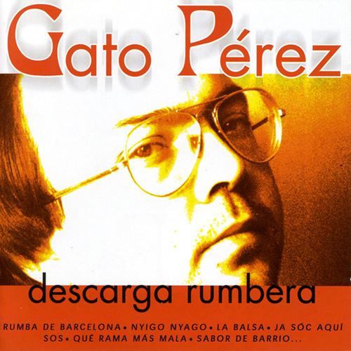 Постер альбома Descarga Rumbera