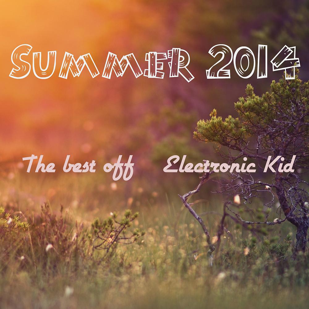 Постер альбома Summer 2014 The Best Off Electronic Kid