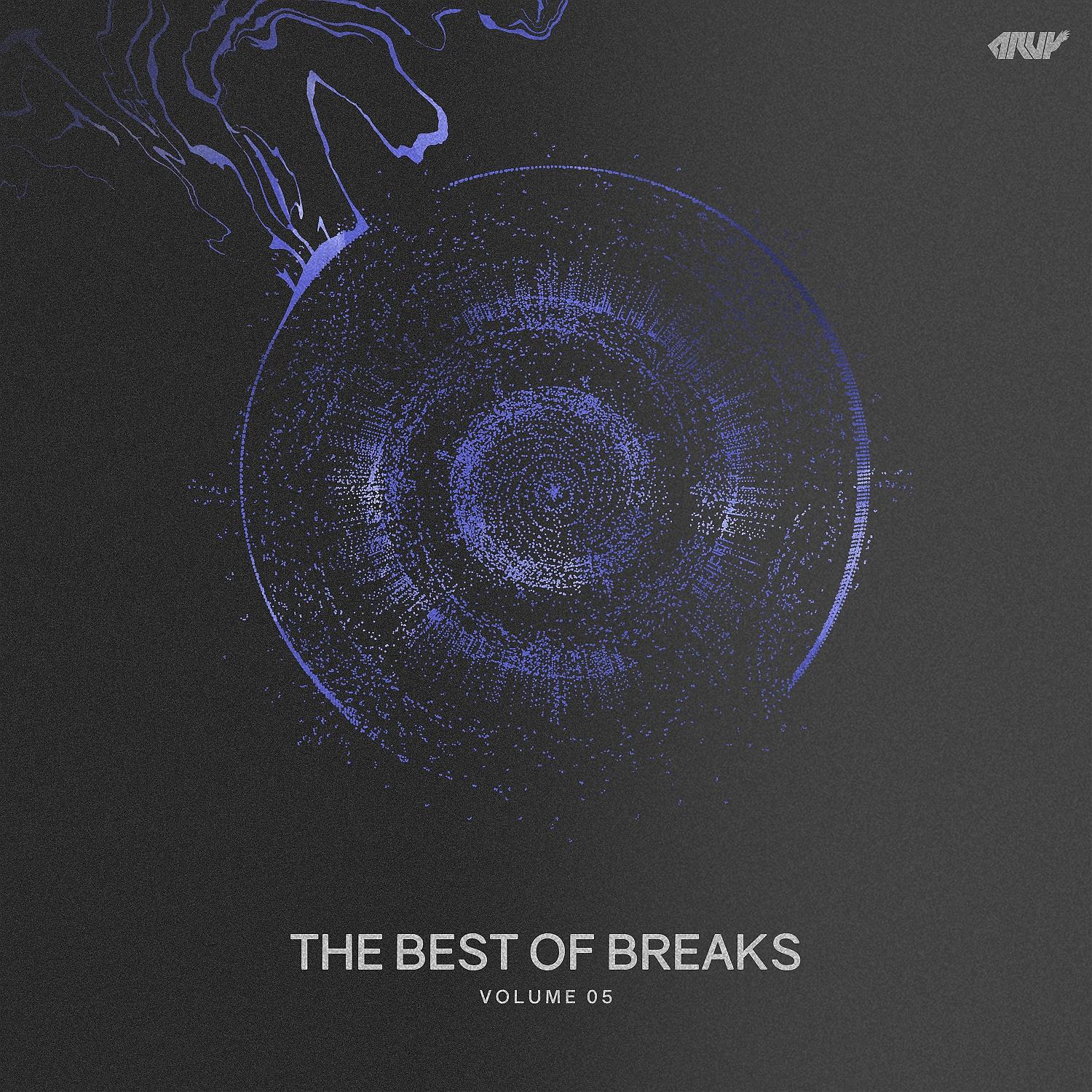 Постер альбома The Best of Breaks, Vol.05