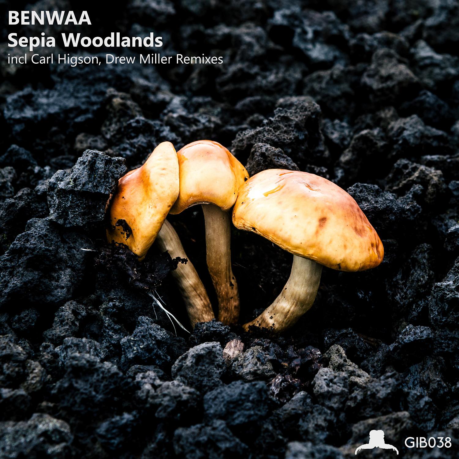 Постер альбома Sepia Woodlands