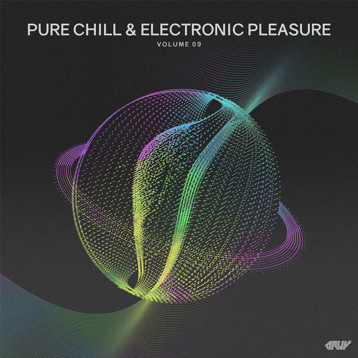 Постер альбома Pure Chill & Electronic Pleasure, Vol.09