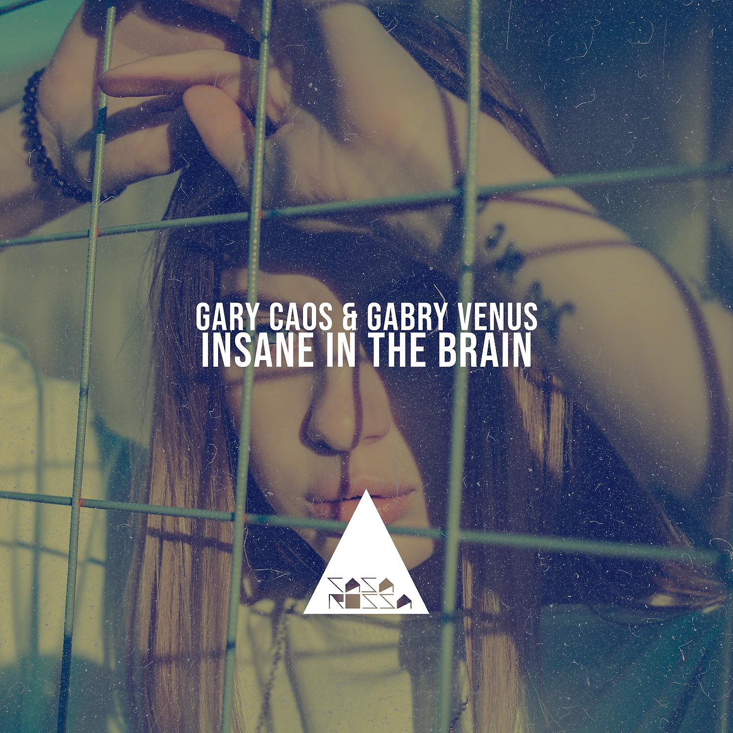 Постер альбома Insane in the Brain