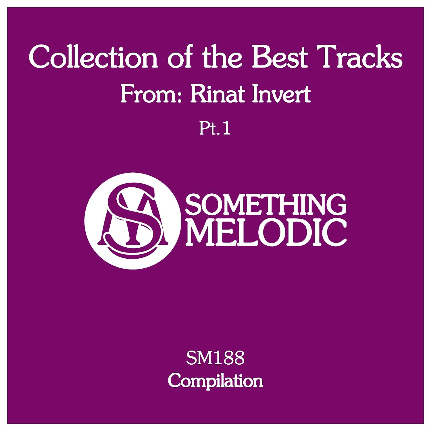Постер альбома Collection of the Best Tracks From: Rinat Invert