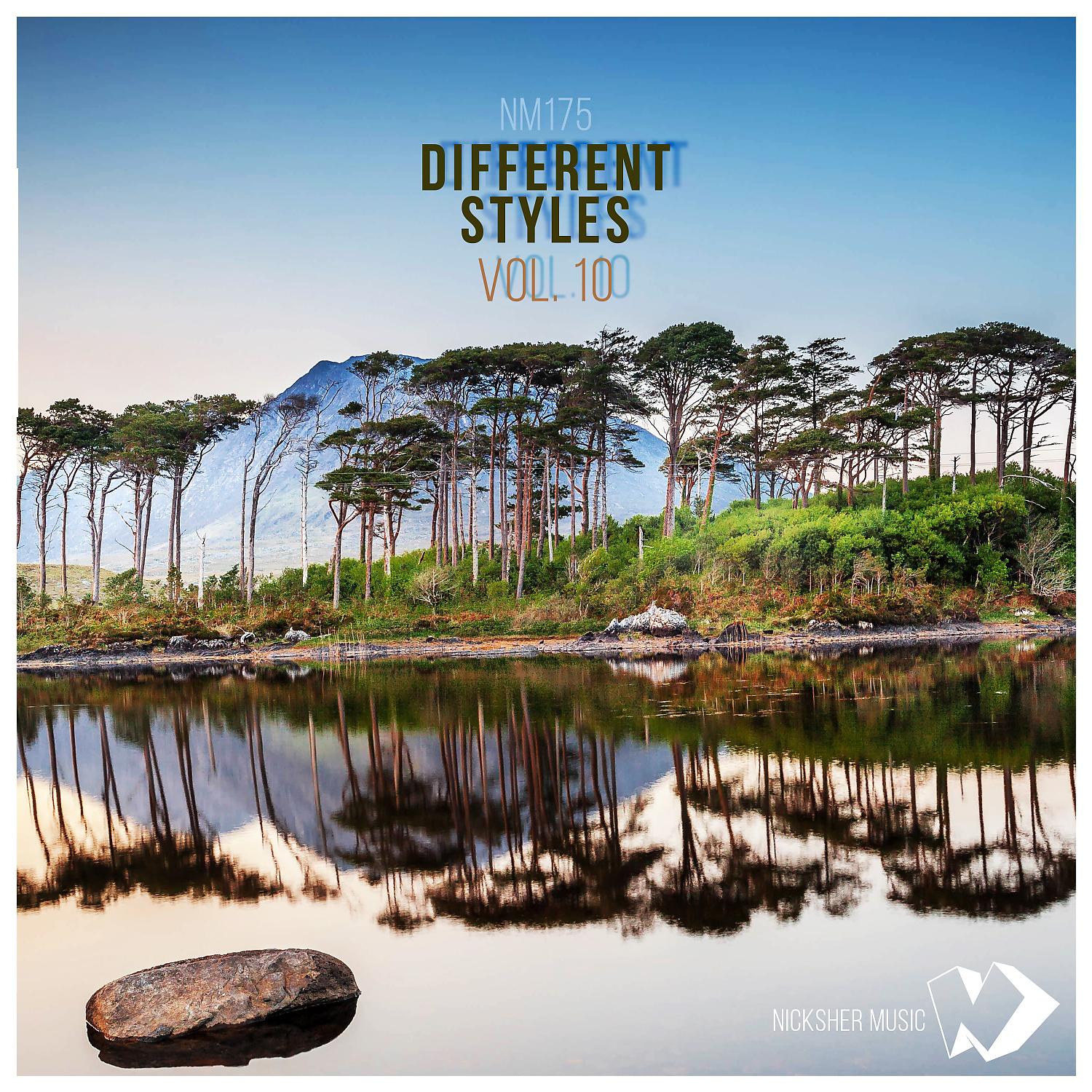 Постер альбома Different Styles Vol.10