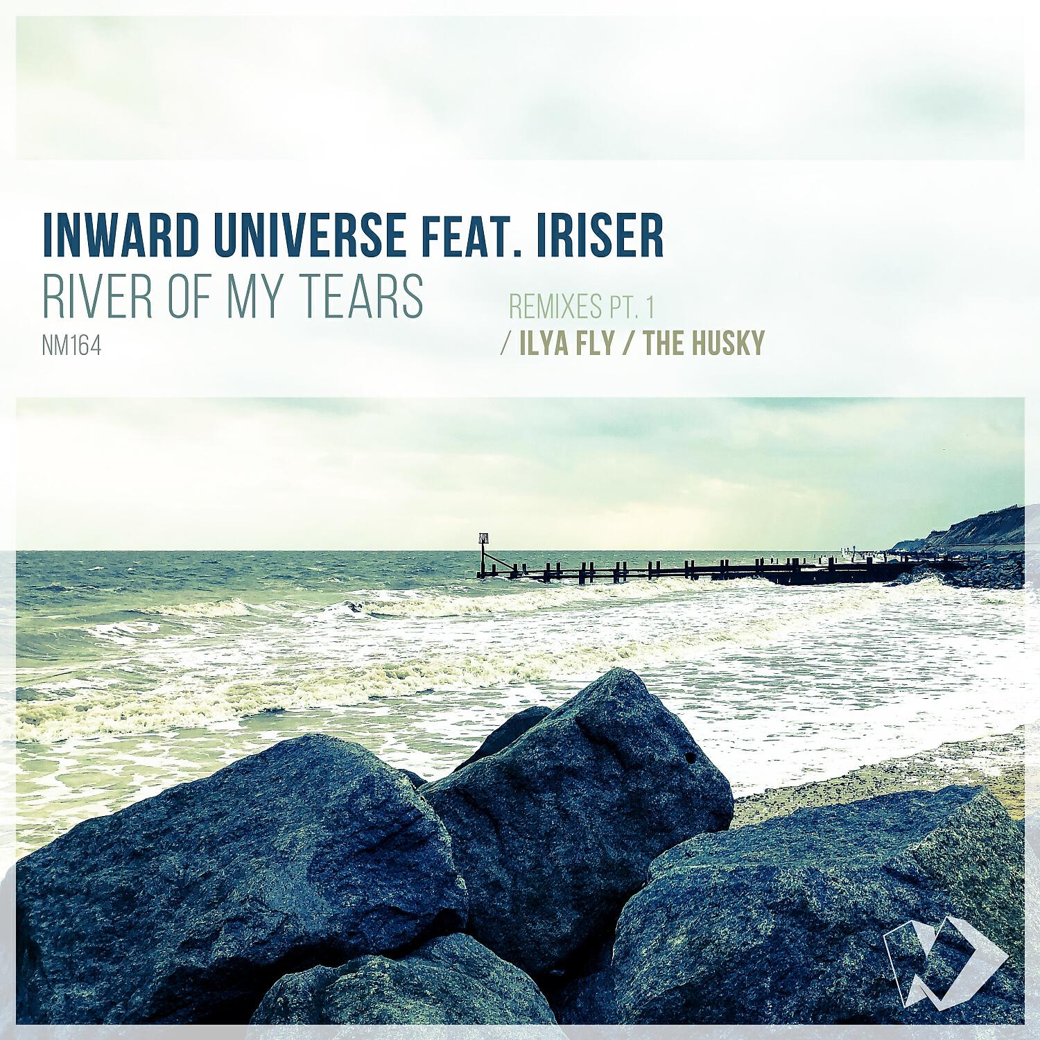 Inward Universe - River of My Tears (The Husky Remix)