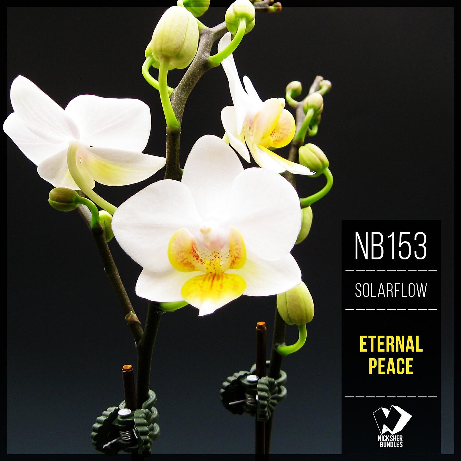 SolarFlow - The Gifts of Nature (Original Mix)