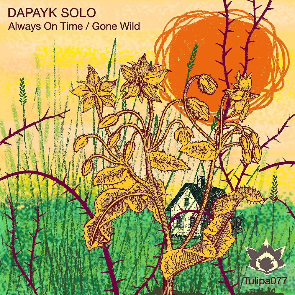 Dapayk Solo - Gone Wild