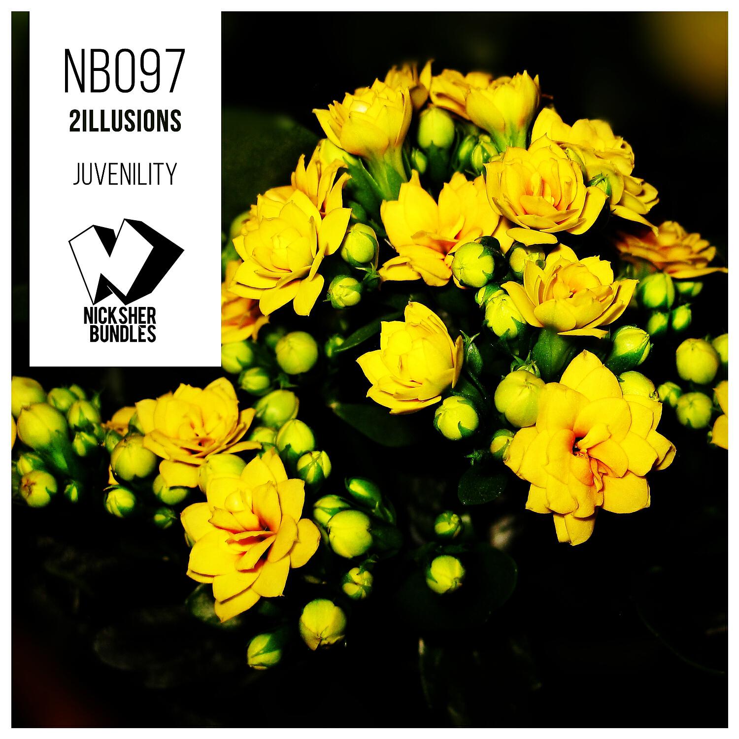 2illusions - Wanderer from Heaven (Original Mix)
