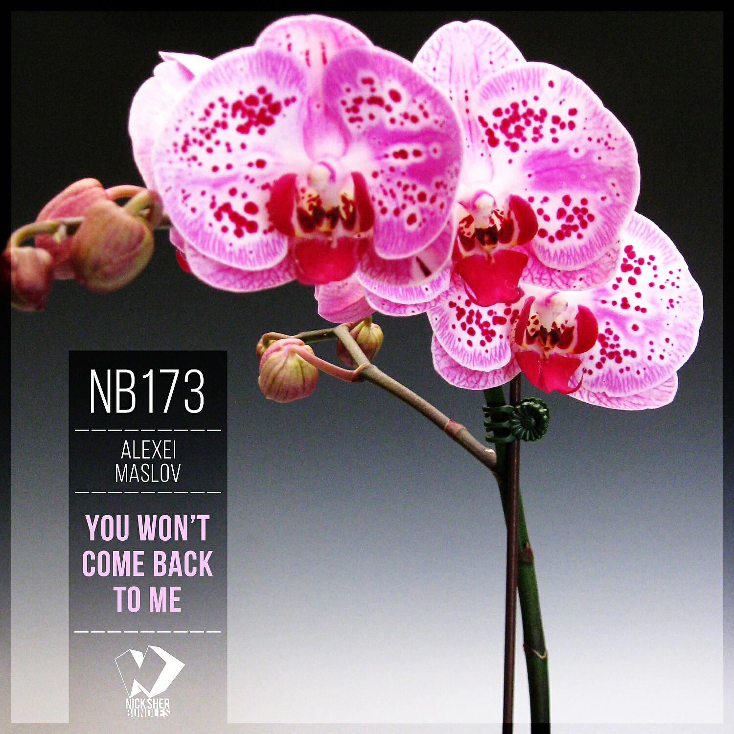 Alexei Maslov - You Won't Come Back to Me (Original Mix)