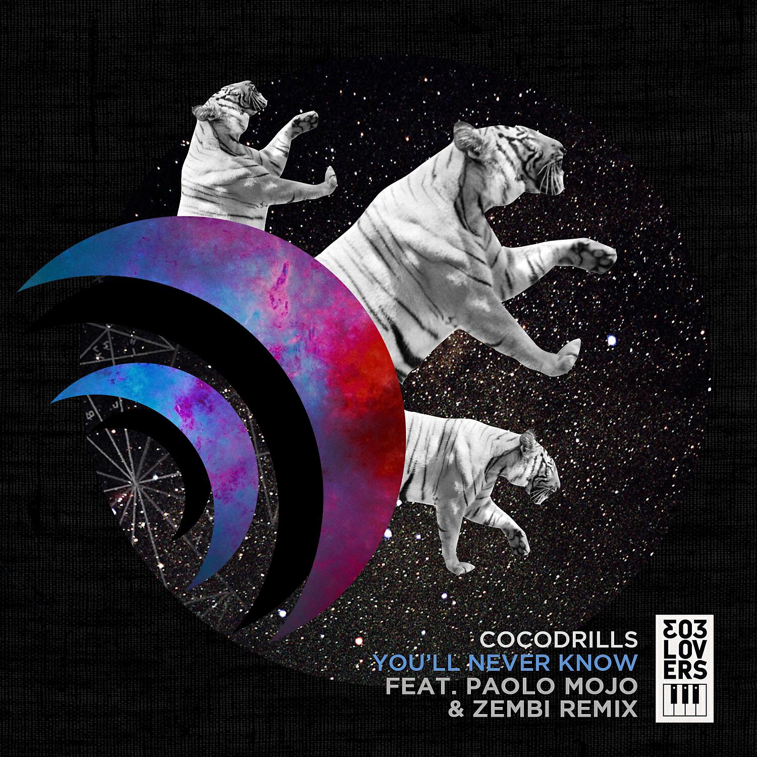Cocodrills - You'll Never Know (Paolo Mojo & Zenbi Remix)