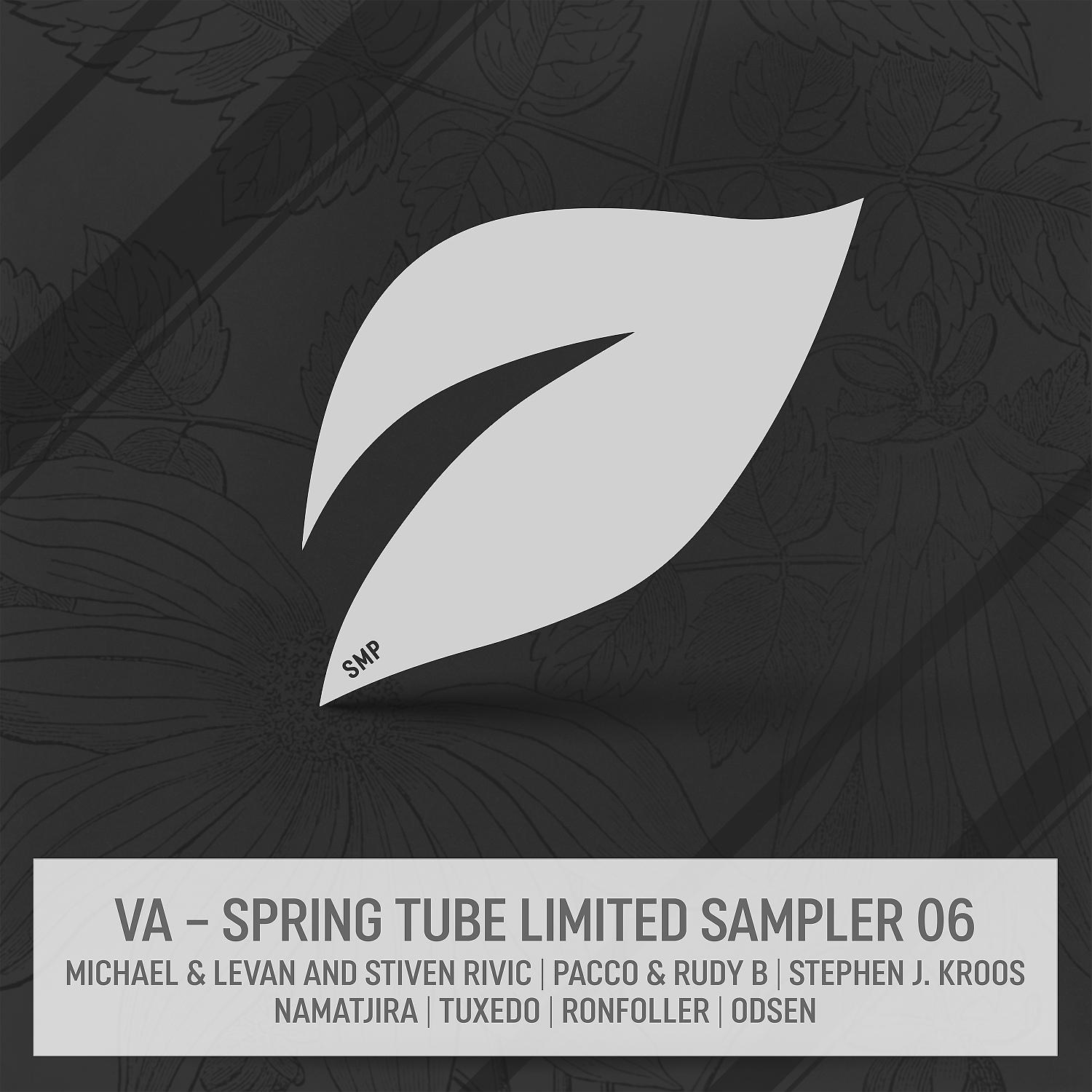 Постер альбома Spring Tube Limited Sampler 06
