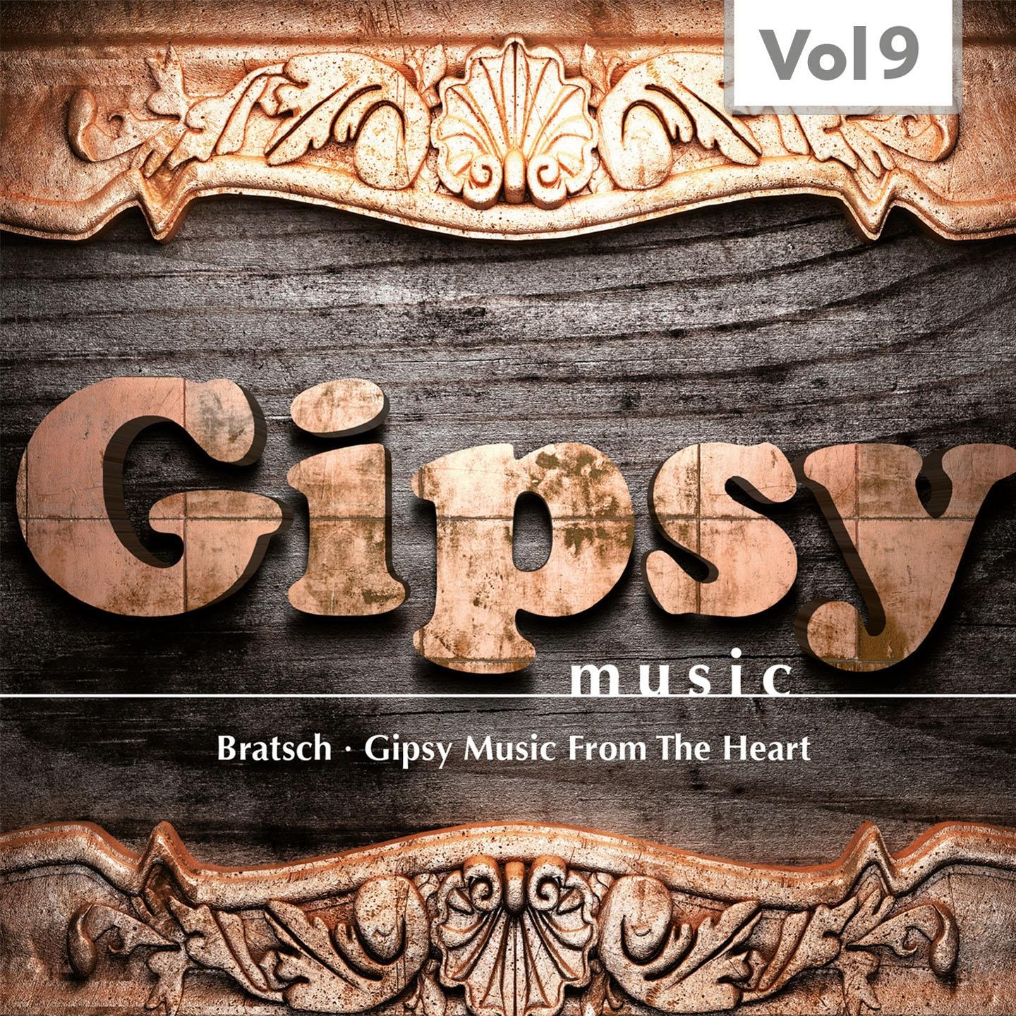 Постер альбома Gipsy Music, Vol.9