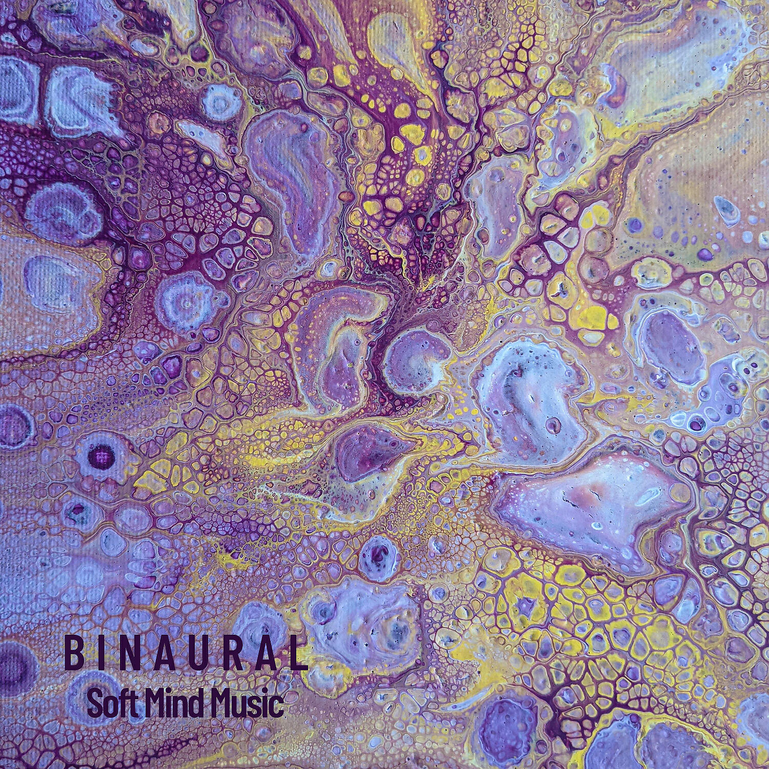 Binaural Landscapes - Mindful Piano for Dogs