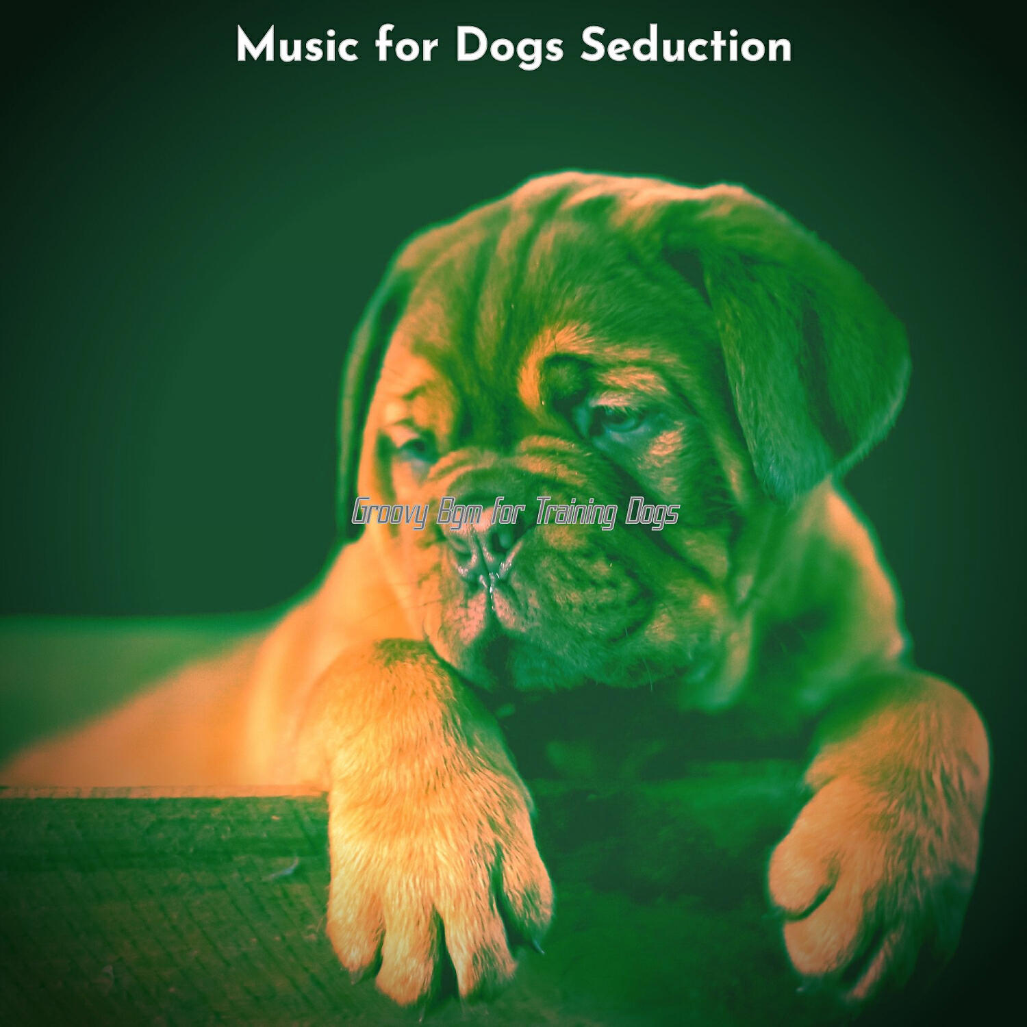 Music for Dogs Seduction - Lovely Jazz Guitar Trio - Vibe for Sleeping Dogs