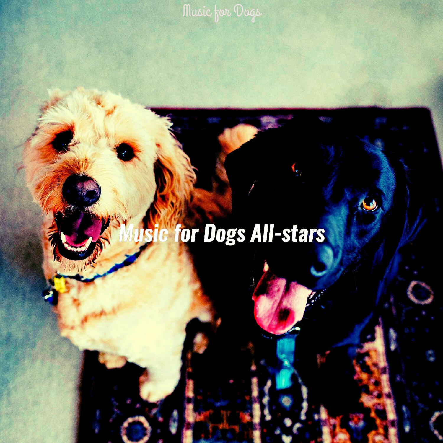 Music for Dogs All-stars - Wicked Music for Separation Anxiety