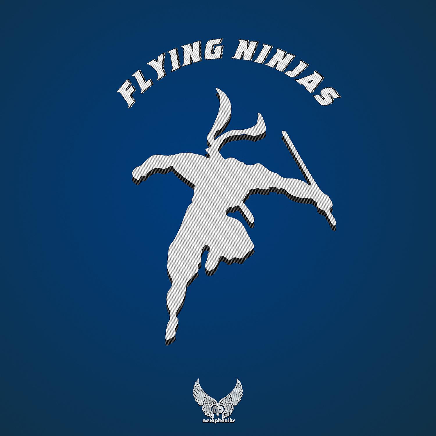 Постер альбома Flying Ninjas