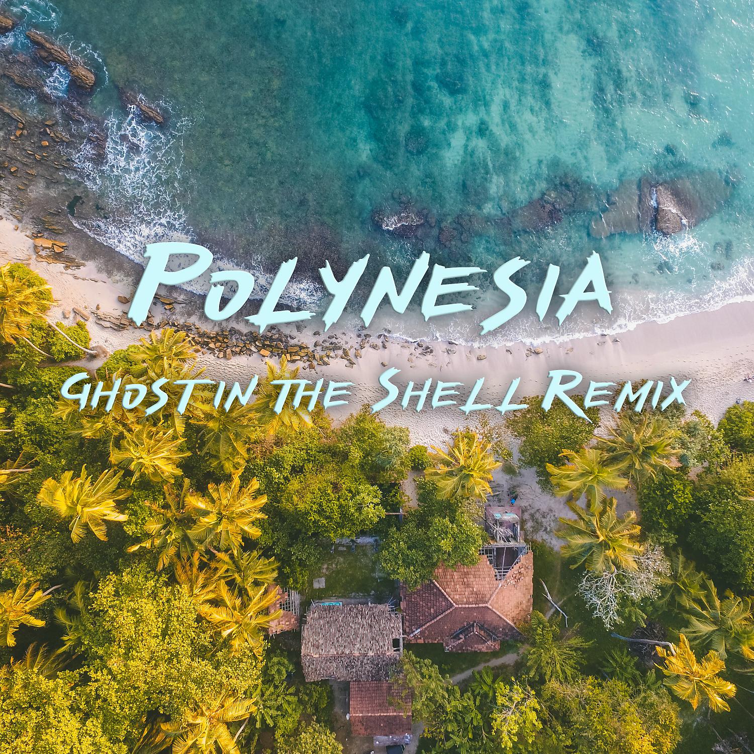 Постер альбома Polynesia (Ghost in the Shell Remix)