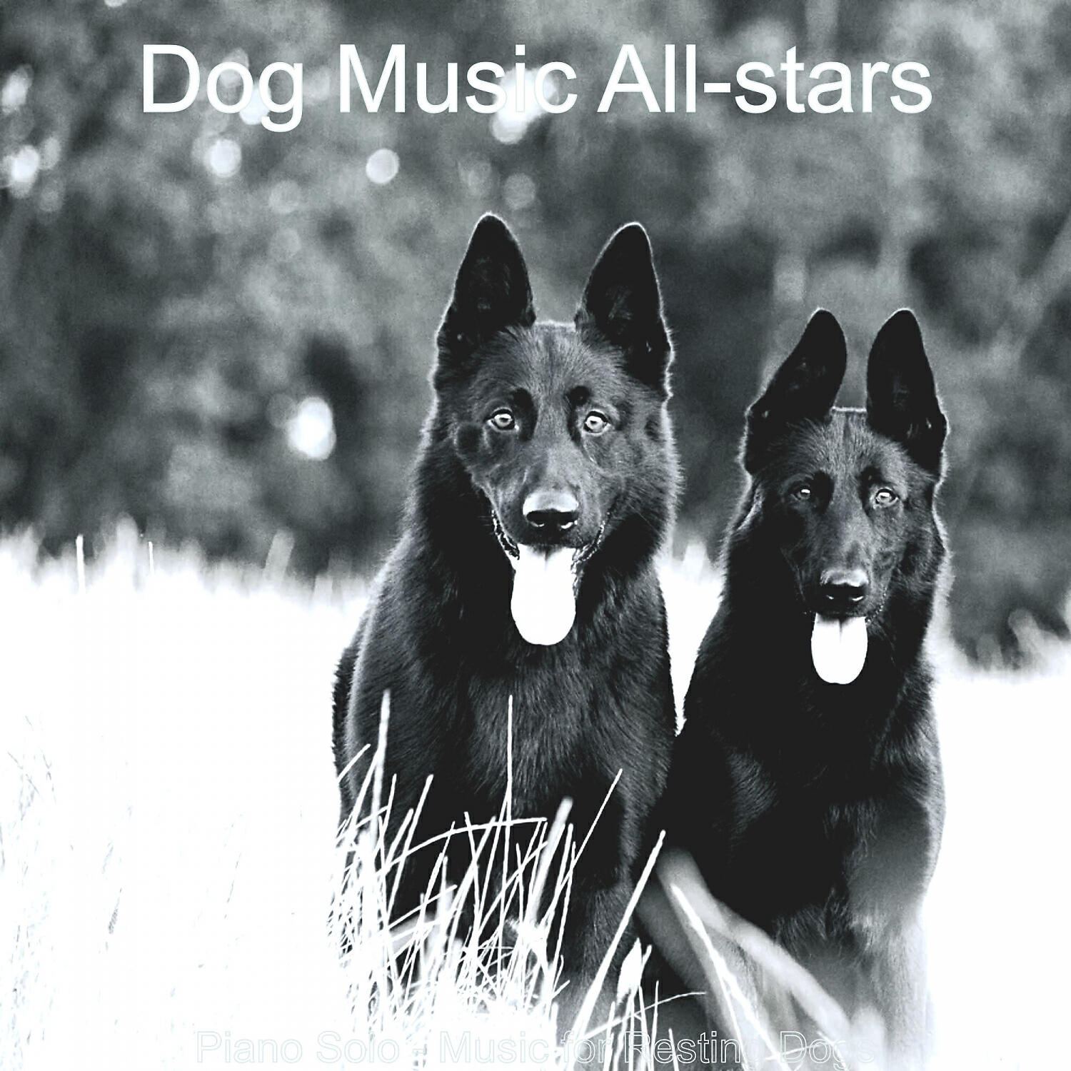 Dog Music All-stars - Outstanding Cute Dogs