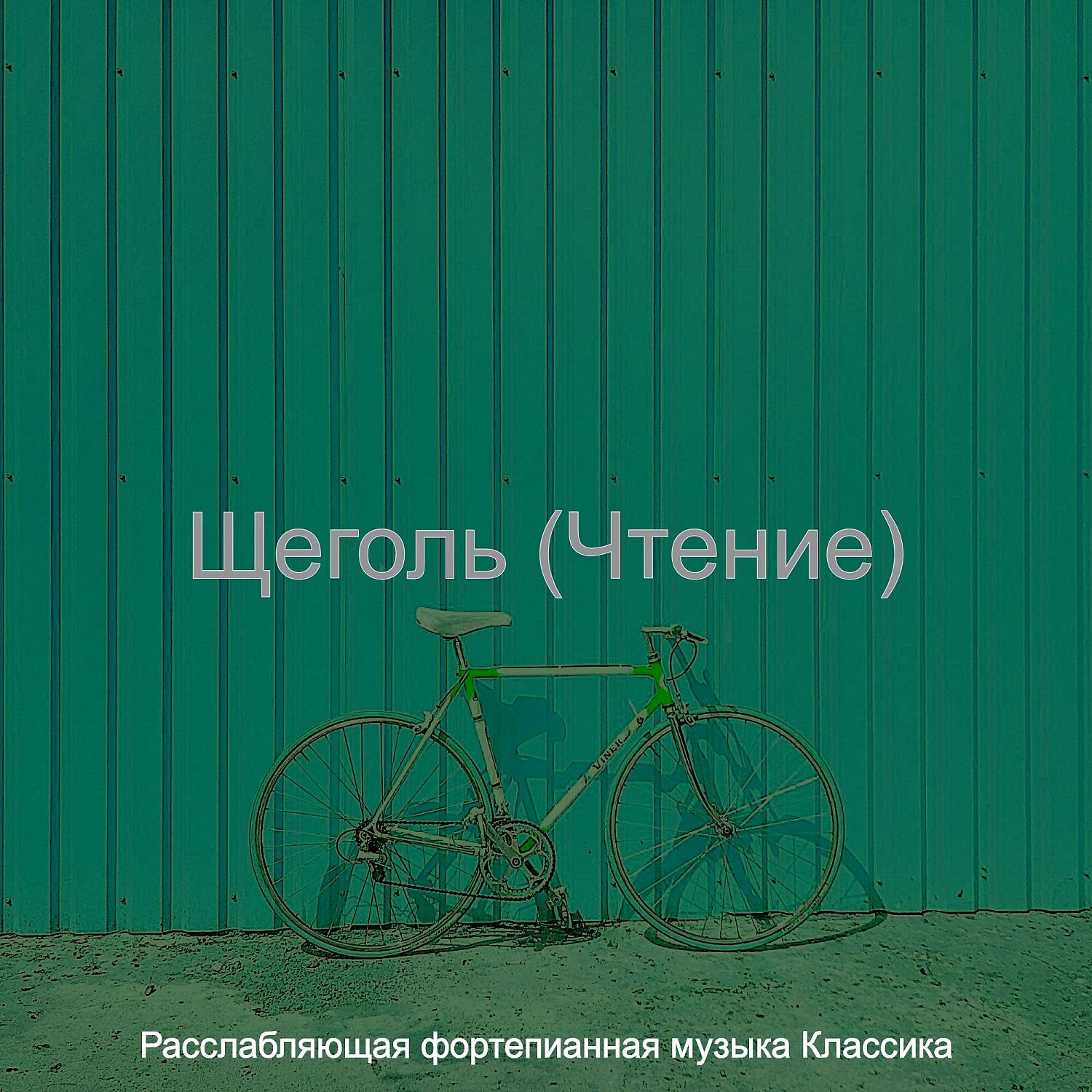 Постер альбома Щеголь (Чтение)