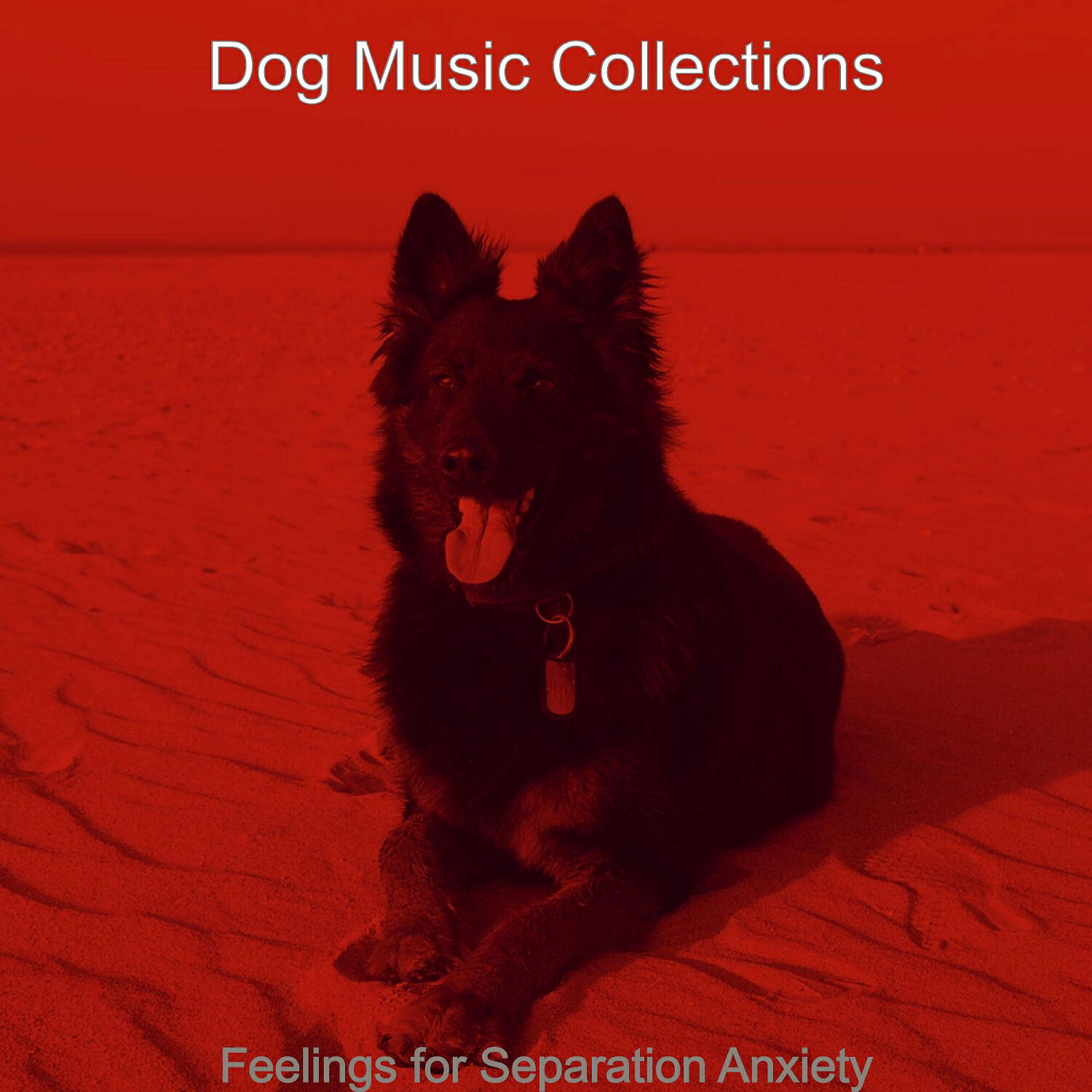 Dog Music Collections - Contemporary Solo Piano Jazz - Vibe for Doggy Training