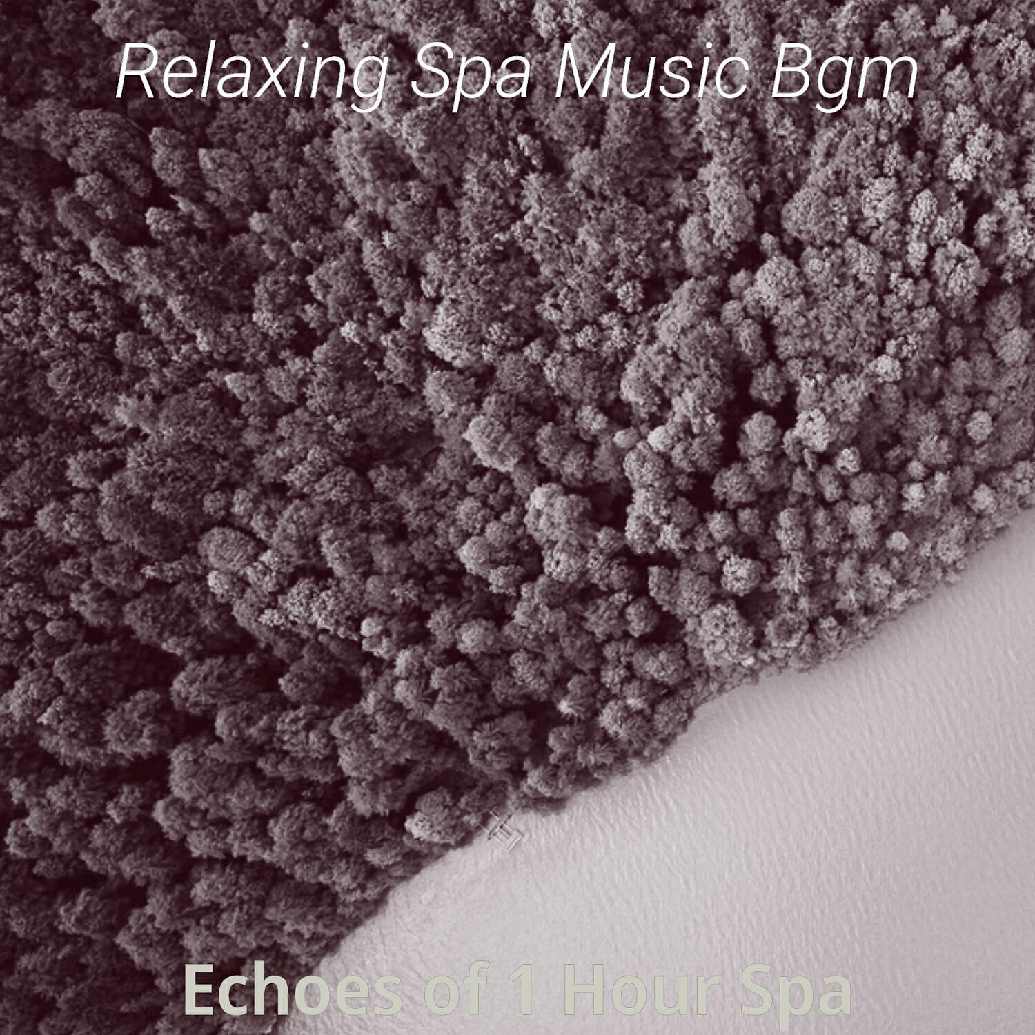 Relaxing Spa Music Bgm - Tasteful Shakuhachi and Harps - Vibe for Spa Treatments